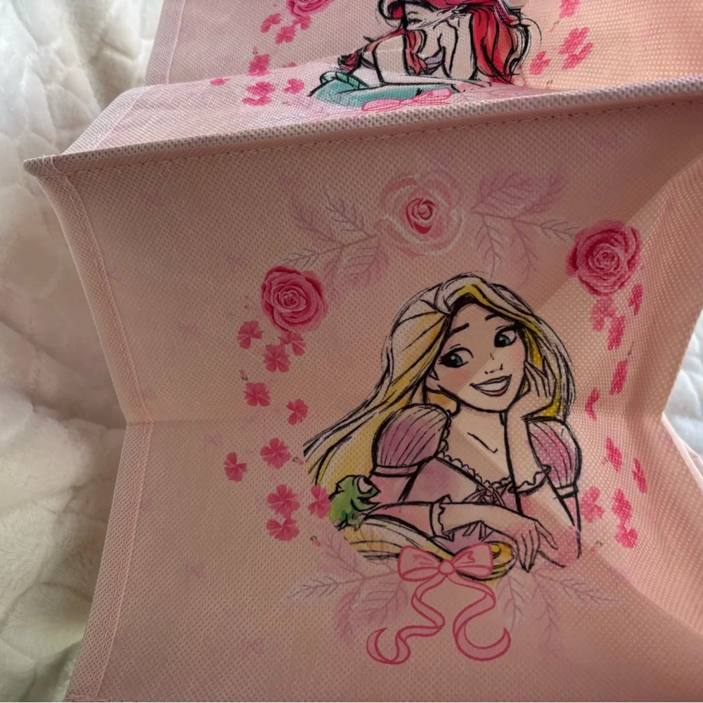Disney Princess 6-Shelf Hanging Closet Organizer